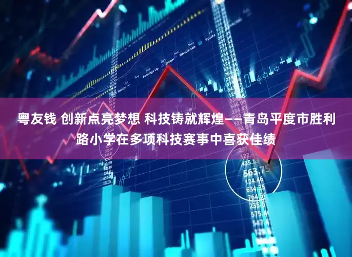 粤友钱 创新点亮梦想 科技铸就辉煌——青岛平度市胜利路小学在多项科技赛事中喜获佳绩