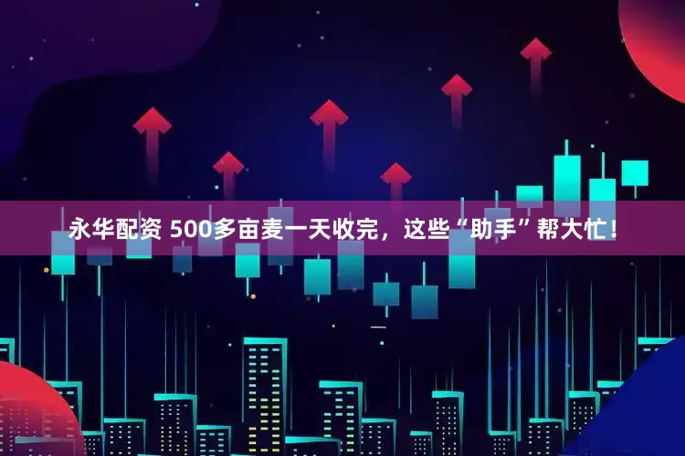 永华配资 500多亩麦一天收完，这些“助手”帮大忙！