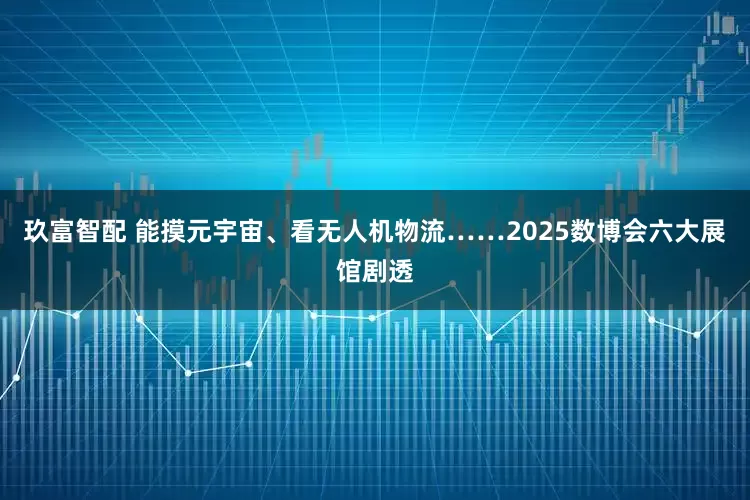 玖富智配 能摸元宇宙、看无人机物流……2025数博会六大展馆剧透