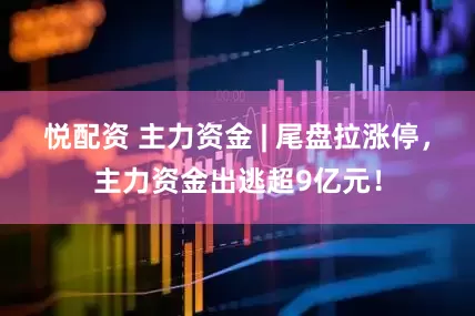 悦配资 主力资金 | 尾盘拉涨停，主力资金出逃超9亿元！